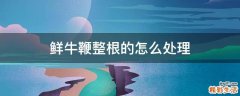 鲜牛鞭整根的怎么处理
