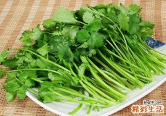吃香菜有什么好处 香菜和什么一起吃好
