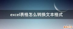 excel表格怎么转换文本格式
