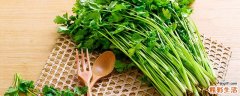 芫荽和香菜的区别 芫荽怎么做好吃