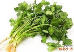 孕妇能吃香菜吗