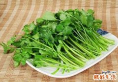 吃香菜对男人有什么不好