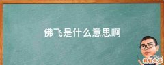 佛飞是什么意思啊