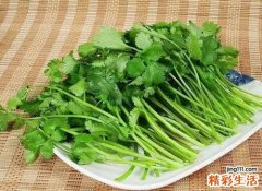 香菜不能和什么食物一起吃