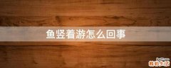 鱼竖着游怎么回事