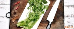 香菜怎么放时间长 新鲜香菜能放几天