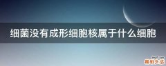 细菌没有成形细胞核属于什么细胞