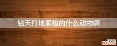 钻天打地洞指的什么动物啊