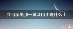会当凌绝顶一览众山小是什么山