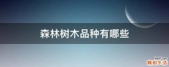 森林树木品种有哪些