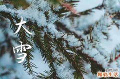 大雪节气有什么传统 二十四节气之大雪有趣的习俗