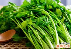 吃香菜会长黑色素么 香菜煮水退烧有用吗