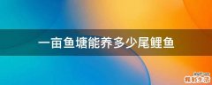 一亩鱼塘能养多少尾鲤鱼