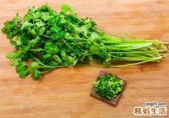 香菜能跟鸡蛋一起吃吗 吃了香菜能吃秋葵吗