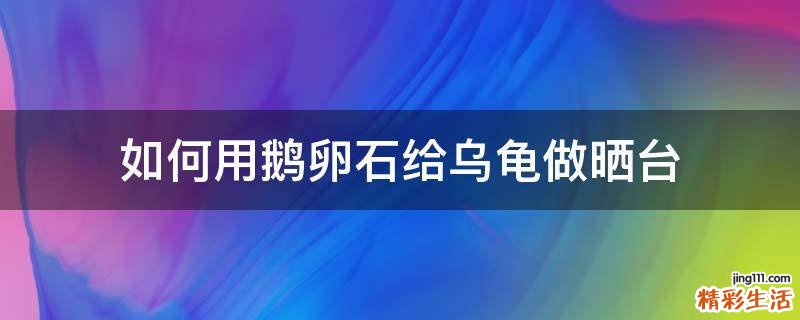 如何用鹅卵石给乌龟做晒台
