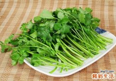 大虾能和香菜同吃吗 香菜可以冷冻保存吗