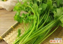 香菜和猪肉能同食吗 香菜怎样保存才放得久