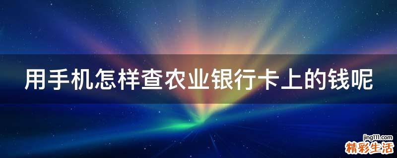 用手机怎样查农业银行卡上的钱呢