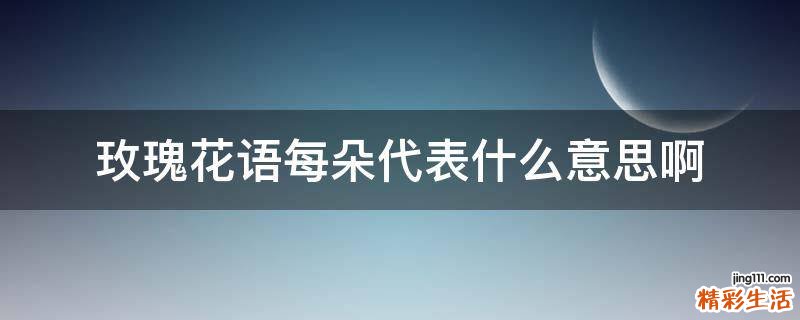 玫瑰花语每朵代表什么意思啊