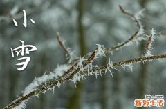 2023年小雪是结婚的好日子吗 2023小雪结婚好吗