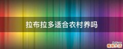 拉布拉多适合农村养吗