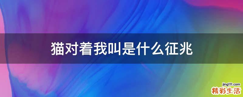 猫对着我叫是什么征兆