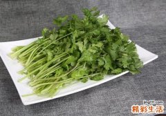 香菜变黑了还能吃吗 香菜属于发物吗