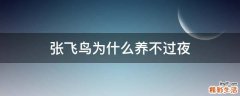 张飞鸟为什么养不过夜