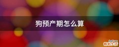 狗预产期怎么算