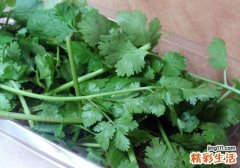 香菜和芹菜能同时吃吗 香菜是热性食物吗