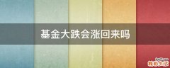 基金大跌会涨回来吗