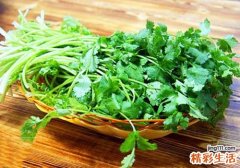 香菜放蔫了还能吃吗 凉拌香菜过夜能吃吗