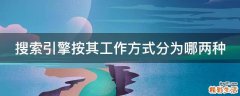 搜索引擎按其工作方式分为哪两种