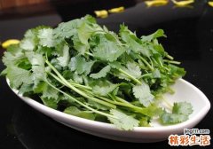 香菜过夜能吃吗 香菜怎么保存新鲜不烂