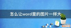 怎么让word里的图片一样大