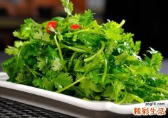 新鲜香菜如何长期保存 新鲜香菜可以放多长时间