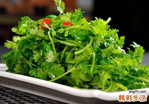 新鲜香菜如何长期保存 新鲜香菜可以放多长时间
