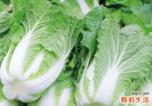 白菜含有什么营养成分 吃白菜有哪些好处