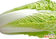 白菜搭配什么菜好 炒白菜需要注意什么