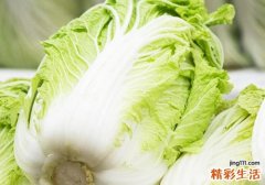 怎么选白菜 冬天如何储存白菜