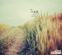 如何挑选老人凉鞋