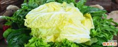 白菜怎么做好吃 怎么炒白菜好吃又简单