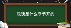 玫瑰是什么季节开的