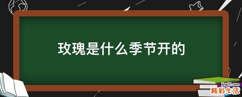 玫瑰是什么季节开的