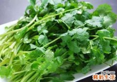 炒的香菜能不能吃 香菜和葱可以同食吗