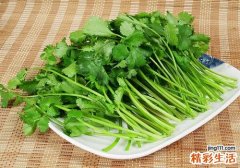 生的香菜可以吃吗 香菜生吃好还是熟吃好