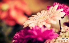 如何看待老年人的再婚心理