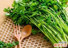 多吃香菜有什么好处 什么人不能吃香菜