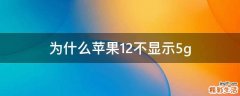 为什么苹果12不显示5g