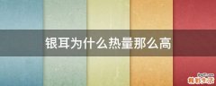 银耳为什么热量那么高